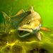 my-fishing-world.png