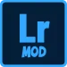 LRMod-iCon
