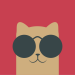 sagon-circle-dark-icon-pack.png