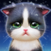kitten-match.png